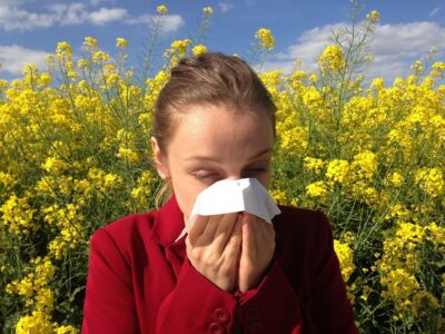 allergies, histamine, anti-histamine